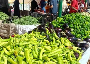 سعر الخضار والفاكهة اليوم الجمعة في الأسواق