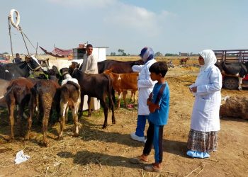 الزراعة” تكثف الترصد الوبائي لحماية الثروة الحيوانية: أكثر من 21 ألف زيارة ميدانية خلال يونيو