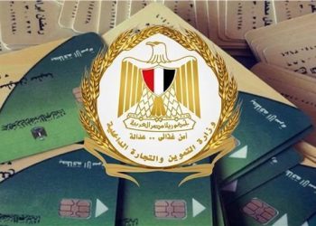 وزارة التموين: استقبال تظلمات 1.5% فقط من حالات البطاقات المتوقفة يؤكد الدقة