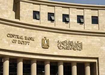 مصر تقود إعداد ونشر أول تقرير للاستقرار المالي على مستوى إفريقيا