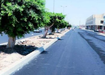 وزيرة الإسكان تتابع موقف مشروعات التطوير والبنية الأساسية والمرافق بمدينة السادات