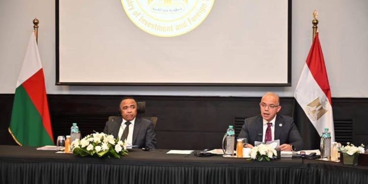 وزير الاستثمار ورئيس مدغشقر يبحثان تعزيز الشراكة الاقتصادية والاستثمارية