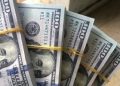 سعر الدولار اليوم الثلاثاء 25 أغسطس 2026 في البنوك المصرية