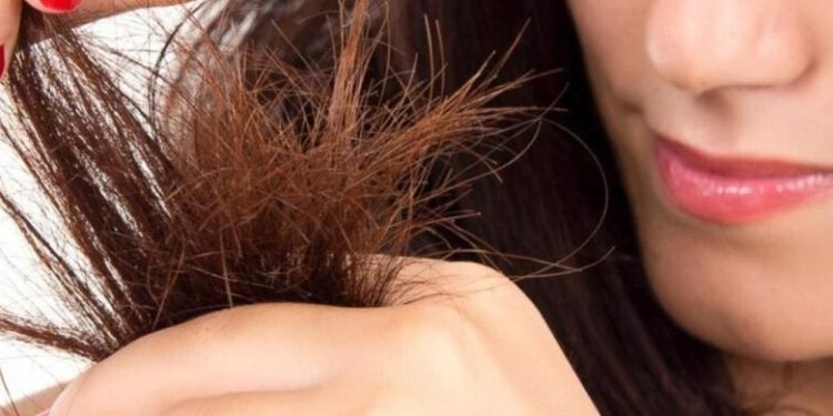 التخلص من تقصف أطراف الشعر.. خطوات بسيطة تحافظ على صحته