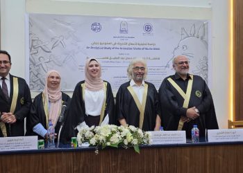 باحثة بجامعة مصر للمعلوماتية تدعوا للاستفادة من تجربة استديو جيبلي الياباني لتطوير صناعة الرسوم المتحركة المصرية