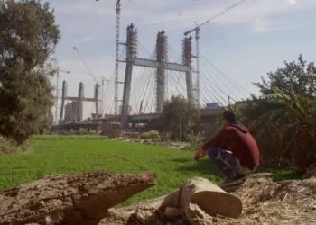 «تنمية الوراق» ينفي دخول مواد بناء للجزيرة ويحذر من إثارة البلبلة