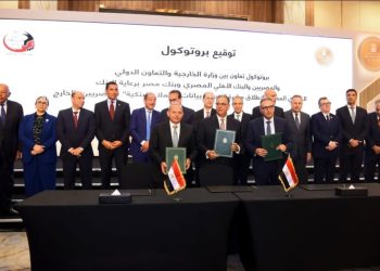 البنك المركزي والخارجية يطلقان مبادرة جديدة لتيسير تحديث بيانات المصريين بالخارج