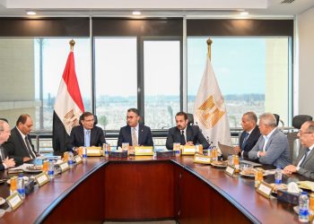 وزيرا التموين والزراعة ومدير «مستقبل مصر» يبحثون استكمال تأسيس شركة مشروع «كاري أون»