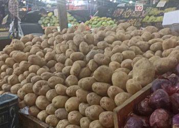 سعر الخضار والفاكهة اليوم السبت في الأسواق