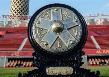 سبتمبر المقبل.. موعد أول توقف للدوري بسبب المنتخب