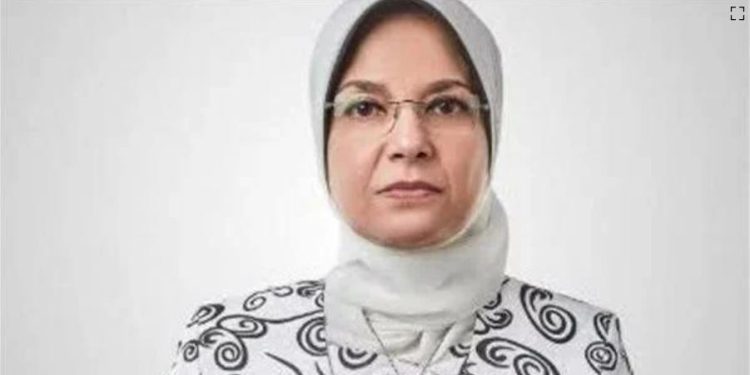 داليا مصطفى قائمًا بأعمال نائب رئيس بنك الاستثمار القومي خلفًا لـ أشرف نجم