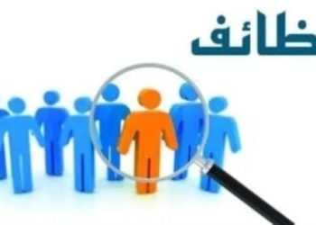 وزير العمل يعلن عن 1355 فرصة عمل جديدة في 7 محافظات بشراكة مع 22 شركة خاصة