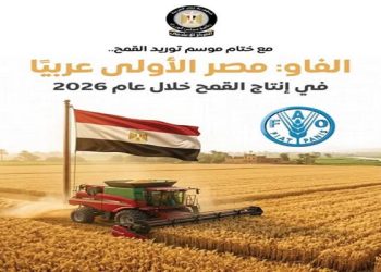 المركز الإعلامي لمجلس الوزراء: مصر الأولى عربيًا في إنتاج القمح خلال عام 2026 وفقًا لتقديرات “الفاو”
