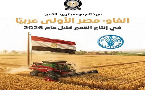 المركز الإعلامي لمجلس الوزراء: مصر الأولى عربيًا في إنتاج القمح خلال عام 2026 وفقًا لتقديرات “الفاو”