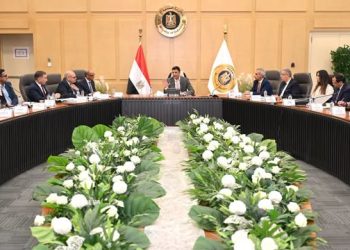 وزير الصناعة يبحث زيادة المكون المحلي وتصنيع هيكل السيارات بالكامل في مصر