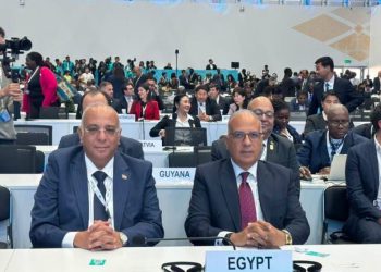 سويلم يشارك في «COP17» بمنغوليا ويؤكد ضرورة التكامل بين المياه والأراضي والعمل المناخي