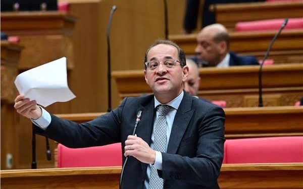 وزير المالية: نعمل على تبسيط المفاهيم والإجراءات.. لضمان توحيد المعاملات الجمركية والتيسير على المستثمرين