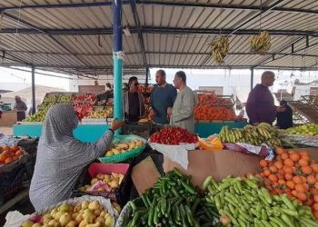 سعر الخضار والفاكهة اليوم الأربعاء في الأسواق