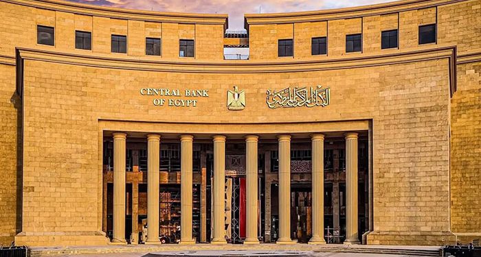 البنك المركزي يطلق البوابة الإلكترونية للجنة الاستقرار المالي الإفريقية لتعزيز التعاون بين البنوك المركزية بالقارة