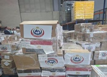 مصر تقدم شحنة جديدة من الأدوية لدعم القطاع الصحي اللبناني