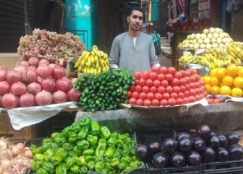 سعر الخضار والفاكهة اليوم الثلاثاء في الأسواق
