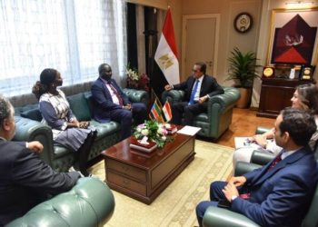 وزير الصحة يستقبل سفير جنوب السودان لبحث تعزيز التعاون الصحي