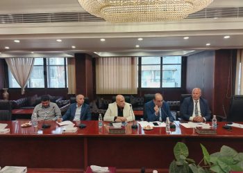 استثمارات صينية بـ5 ملايين دولار لإنشاء مصنع للإسفنج المضغوط في مصر