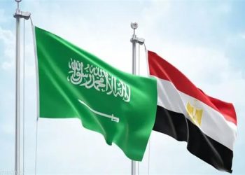 مصر تدين الهجمات على المملكة العربية السعودية