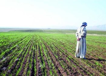 “الزراعة” تستعرض جهودها في دعم المزارعين وتحقيق الأمن الغذائي خلال الاسبوع الثالث من سبتمبر الجاري