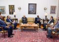 وزير الخارجية يستقبل رئيس البنك الأفريقي للتصدير والاستيراد لبحث التحضير لمنتدى «العلمين أفريقيا»