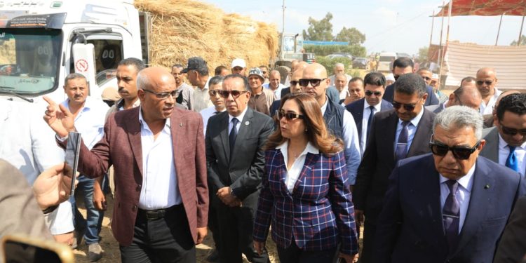 وزيرة التنمية المحلية والبيئة ومحافظ الدقهلية يتفقدان موقع تجميع قش الأرز بمركز بلقاس