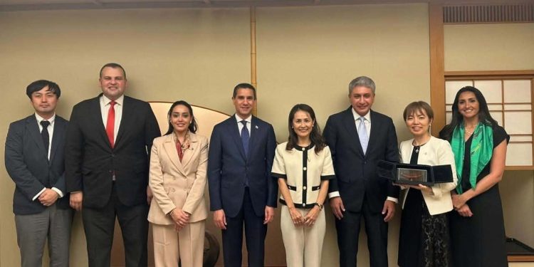 وزير السياحة يبحث مع نائب الرئيس الأول لجايكا تعزيز التعاون في الإدارة والتدريب والبحث العلمي