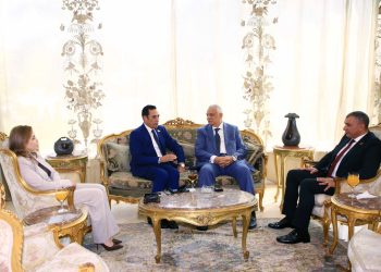 «تنمية الريف المصري الجديد» و«الخرافي ناشيونال» تنشئان 6 محطات كهرباء لدعم التنمية بسهل المنيا الغربي