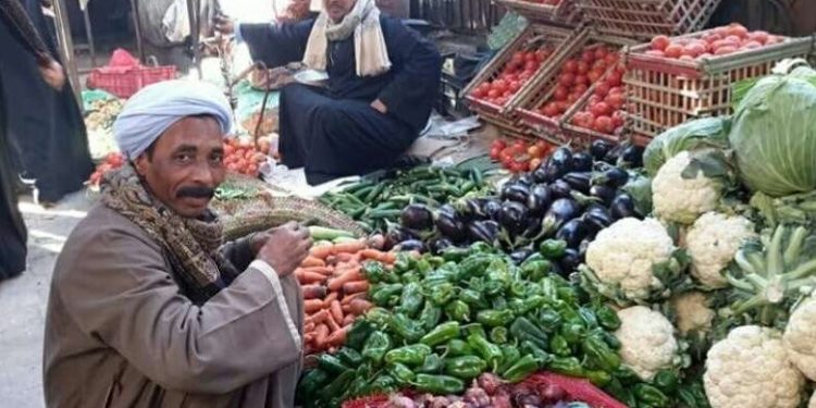 سعر الخضار والفاكهة اليوم الأربعاء في الأسواق
