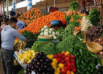 سعر الخضار والفاكهة اليوم الإثنين 7 سبتمبر في الأسواق