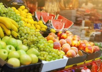 سعر الخضار والفاكهة اليوم الثلاثاء 15 سبتمبر في الأسواق