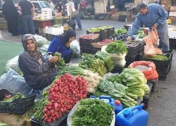 سعر الخضار والفاكهة اليوم الثلاثاء في الأسواق