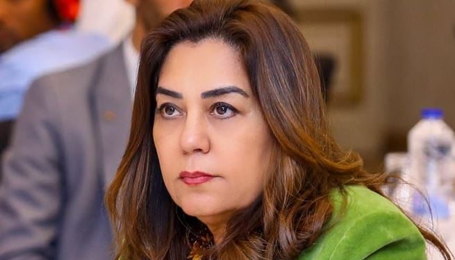 وزيرة التنمية المحلية والبيئة تستعرض نتائج المرور الميداني على 3 أحياء بالقاهرة