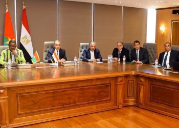 وزير الخارجية يستقبل رئيس هيئة الدواء المصرية لبحث دعم صادرات الدواء المصري وتعزيز نفاذه إلى الأسواق الخارجية