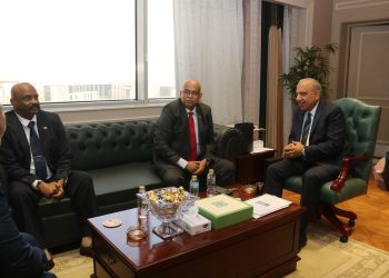 وزير الكهرباء يبحث مع نظيره السوداني تعزيز التعاون لإعادة تأهيل الشبكات وتوفير الطاقة