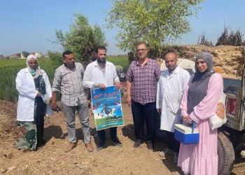 «الزراعة»: تقديم أكثر من 5.7 مليون جرعة تحصينية للماشية ضد «الحمى القلاعية» و«الوادي المتصدع» ضمن أعمال الحملة القومية حتى الآن