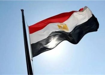 مصر تدين التوغلات الإسرائيلية المتكررة داخل الأراضى السورية