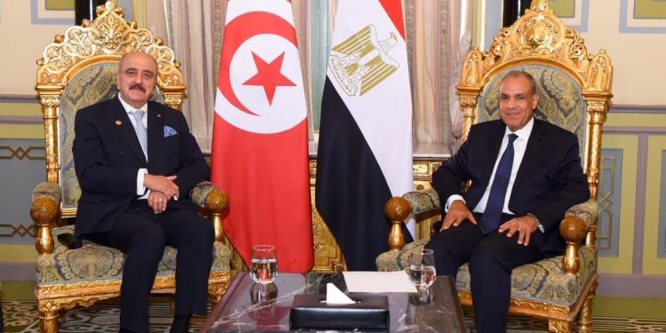 وزير الخارجية يلتقي نظيره التونسي بالقاهرة