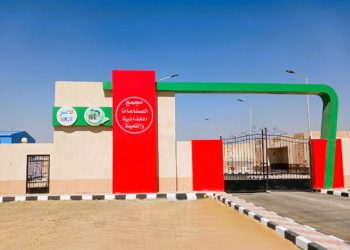 هيئة تنمية الصعيد تعزز الإتاحة الرقمية عبر موقعها الإلكتروني بإتاحة أداة”داعم” لتمكين الأشخاص ذوي الإعاقة