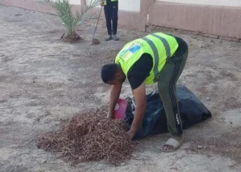 «رد الجميل للمدارس والمعلمين».. «آفاق» تطلق مبادرة لتنظيف المدارس الحكومية في 4 محافظات