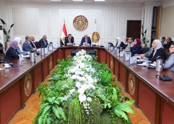 وزير العمل يلتقي رئيس رئيس الجهاز المركزي للتعبئة والاحصاء لتعزيز التعاون وتبادل البيانات لدعم ملفات العمل وسوق العمل