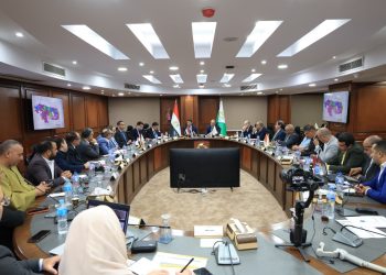 وزير الصناعة ومحافظ الجيزة يبحثان ملفات العمل وتقنين الأوضاع بمنطقتي جرزا وعرب أبوساعد الصناعيتين