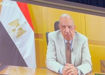 وزير الكهرباء: الاستخدامات السلمية للطاقة الذرية حقٌ أصيل لجميع الدول