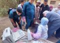 «الزراعة» تقدم خدمات الرعاية التناسلية لأكثر من 42 ألف رأس ماشية والتلقيح الاصطناعي لنحو 46 ألف رأس خلال سبتمبر