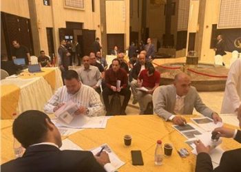 بدء عمل لجان إصدار بطاقات الرقم القومي للمواطنين المصريين في المملكة العربية السعودية